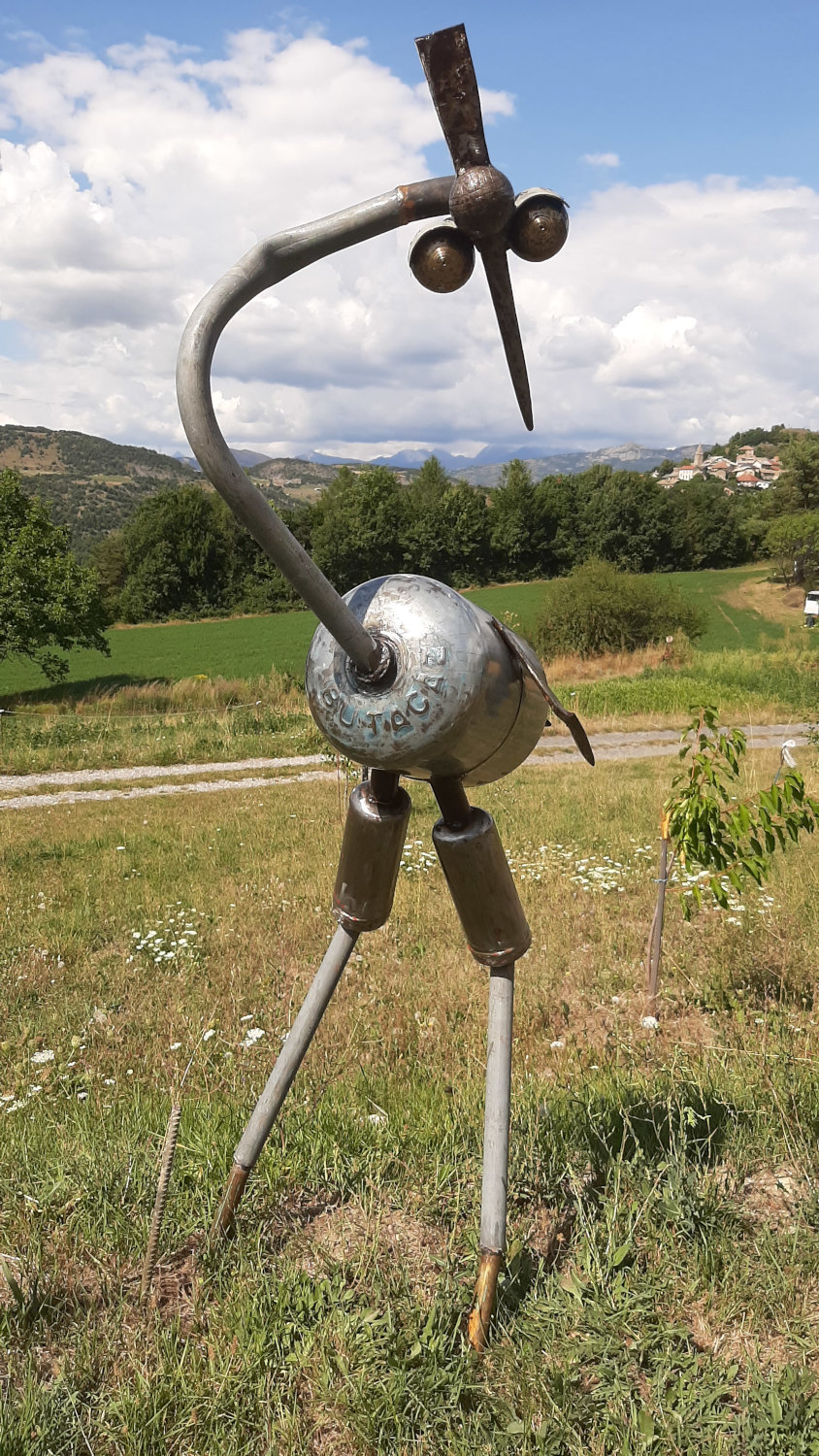 Tête de pioche... La cigogne a la tête dure !
